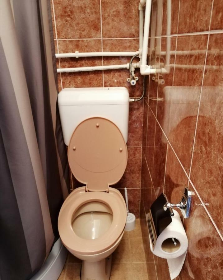 Apartman Studio Katarina Golubăţ Exterior foto
