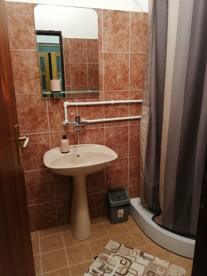 Apartman Studio Katarina Golubăţ Exterior foto