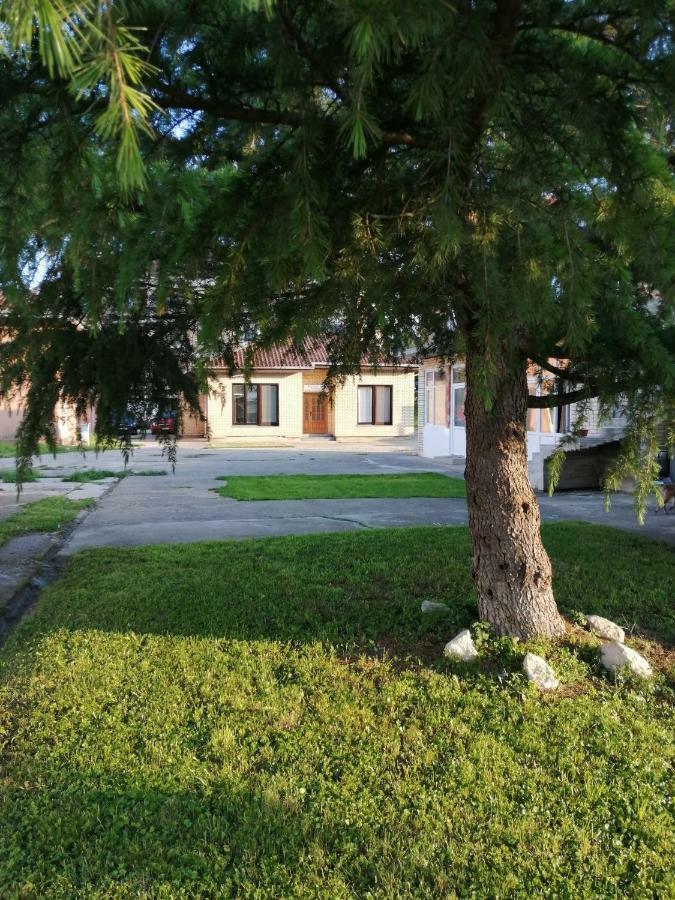Apartman Studio Katarina Golubăţ Exterior foto