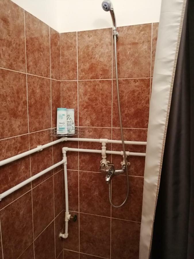 Apartman Studio Katarina Golubăţ Exterior foto